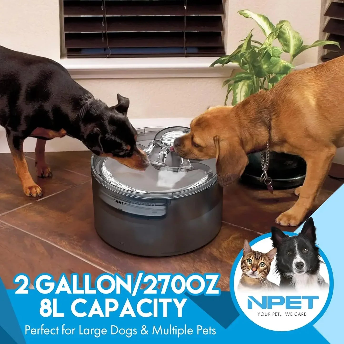 Hign Concerned Automatic Dog Water Fountain Splash Guard
