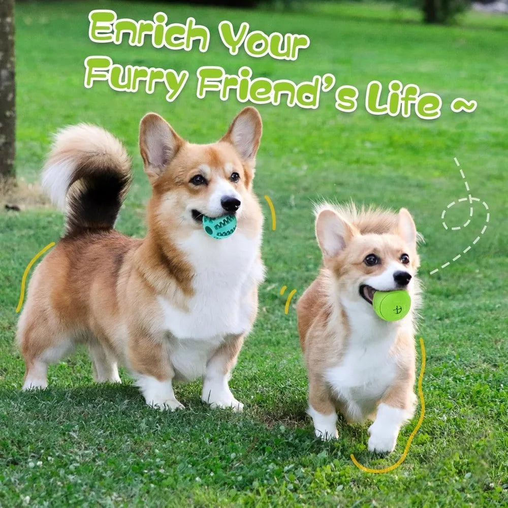 EZHomeEssentials Interactive Dog Treat Ball Teething