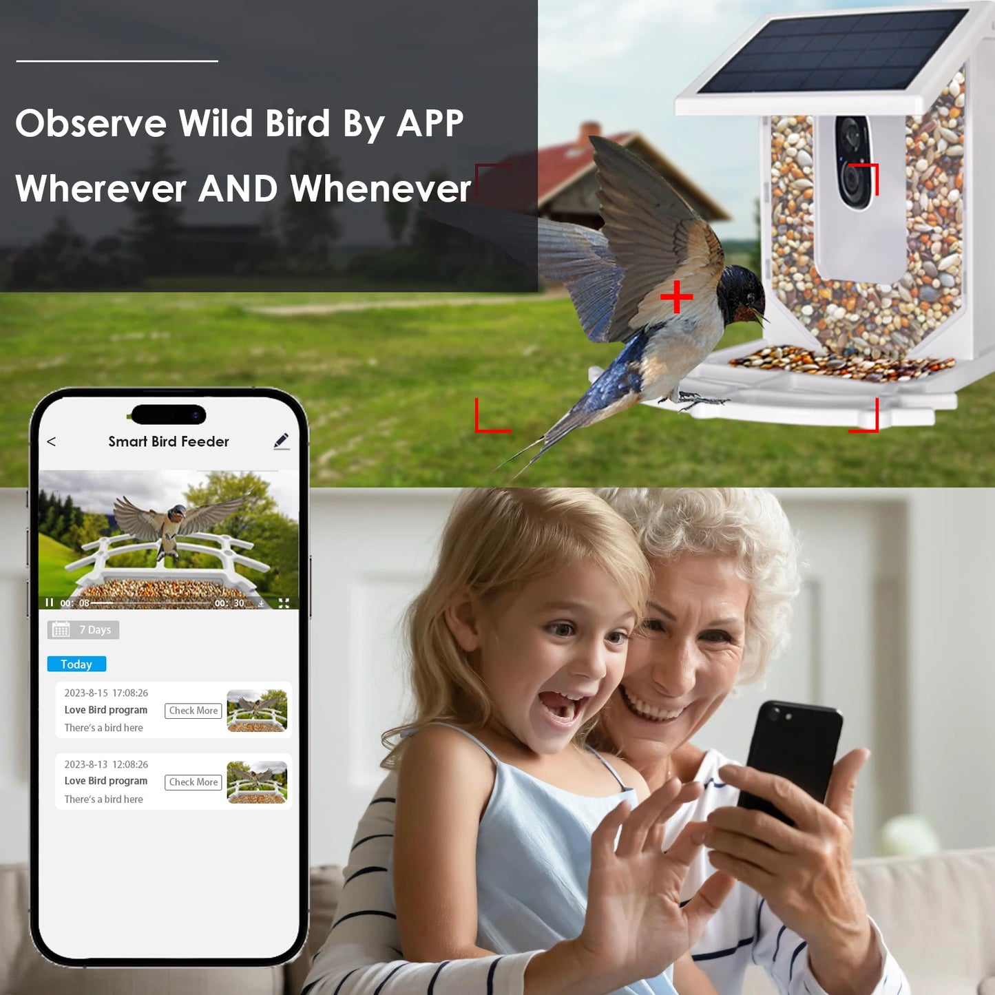 Smart Bird Feeder With Camera Outdoor Bird House Solar HD