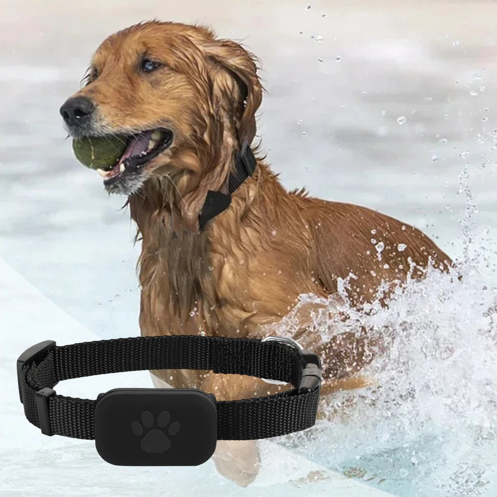 Pet GPS Tracker With Adjustable Collar For Dogs Cats