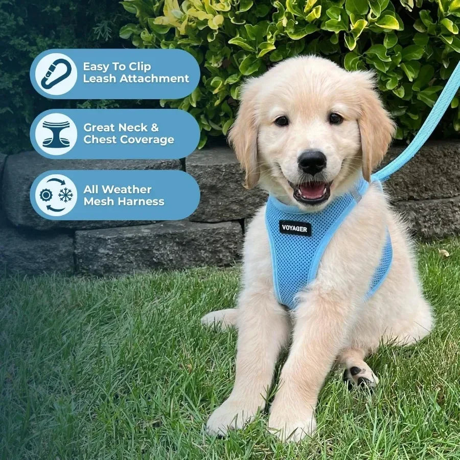 Closure Step In Air Mesh Dog Harness And Leash Reflective