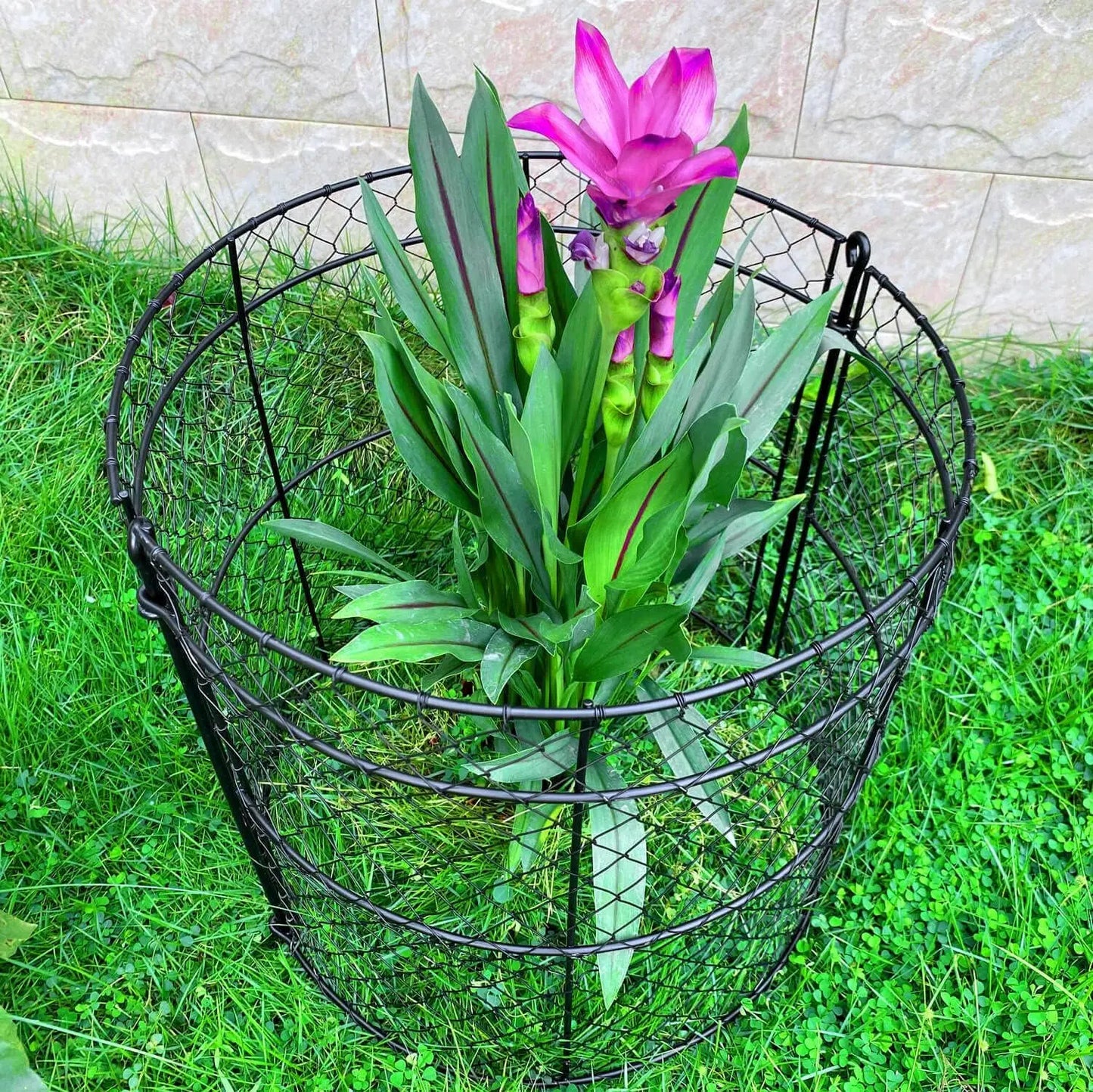 6 Pack Garden Cloches for Plants, Chicken Wire Cloche, 14" D x 16" H Wire Plant Protector, Plant Protectors from Animals