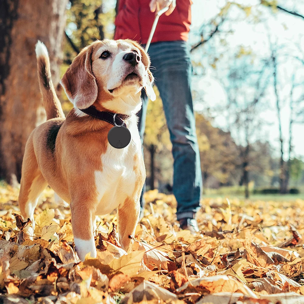 Smart GPS Tracker Bluetooth Locator for Android and iOS