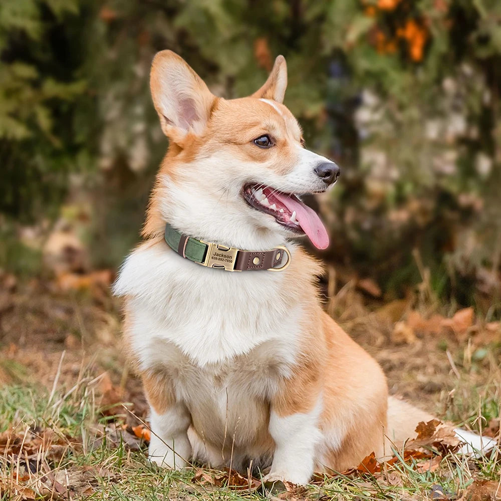 Leather Dog Collar Engraved Adjustable ID Necklace