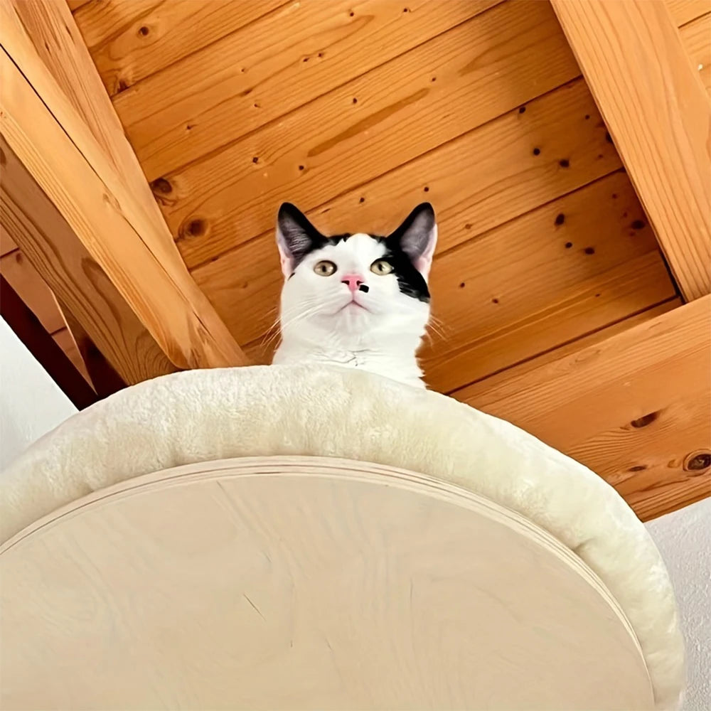 PETRAVELCN Cat Wall Mounted Climbing Ladder With Post