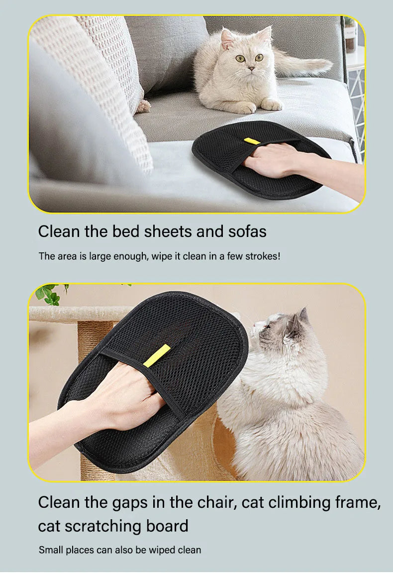 Zhejiang Pet Grooming Gloves Hair Remover and Brush