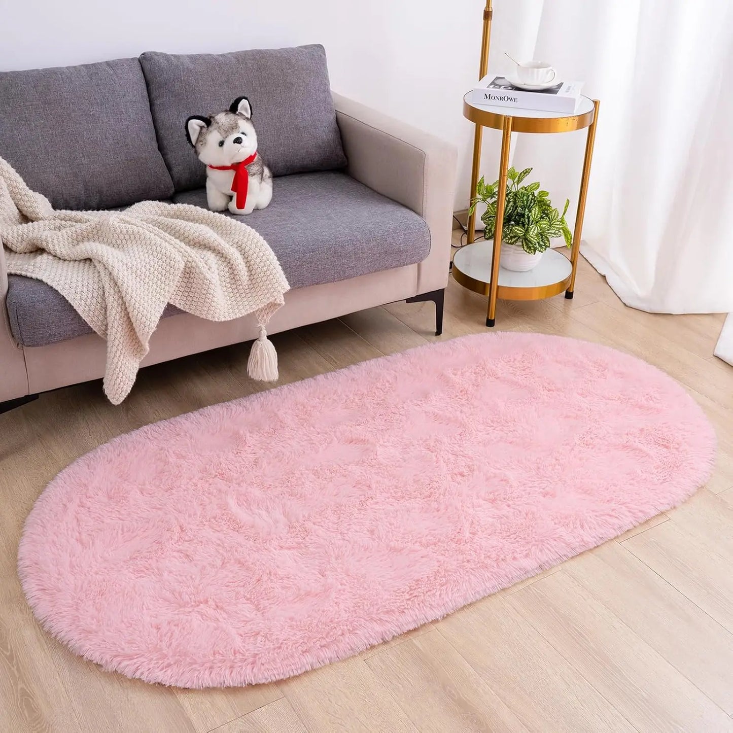 EZHomeEssentials Oval Fluffy Area Rug Plush Shaggy Carpet