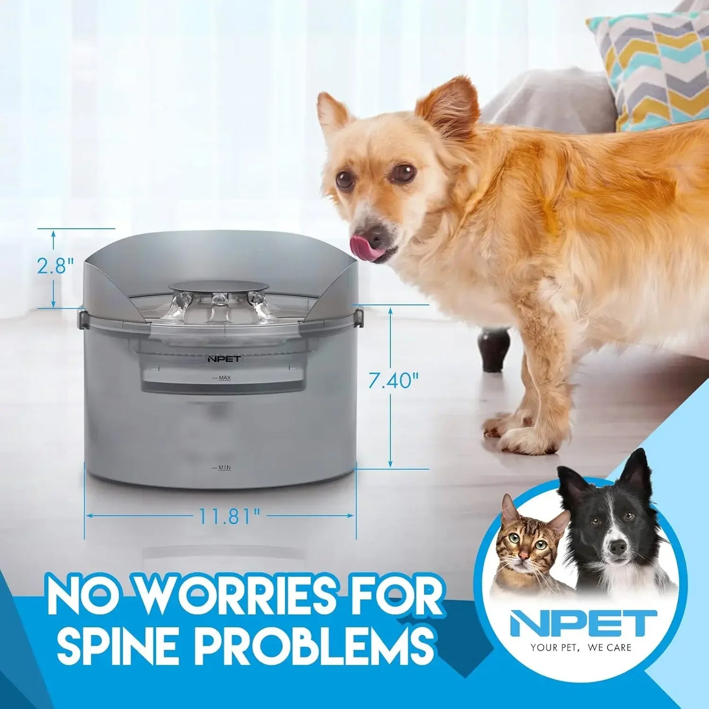 Hign Concerned Automatic Dog Water Fountain Splash Guard