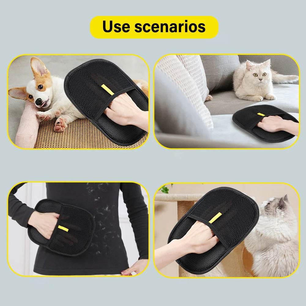 Zhejiang Pet Grooming Gloves Hair Remover and Brush