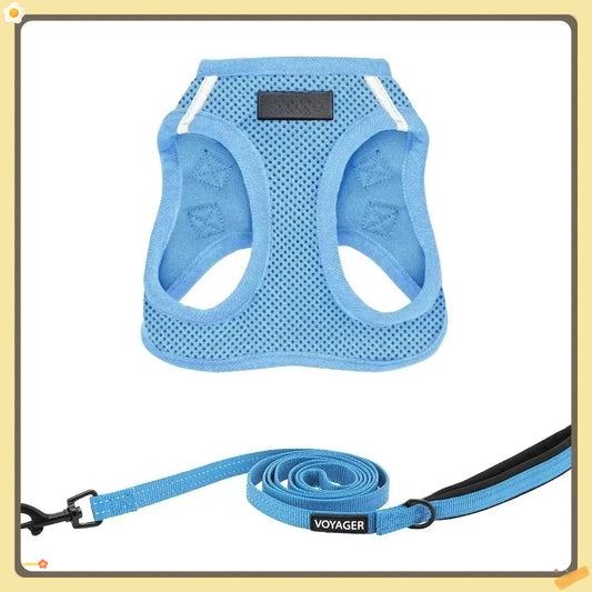 Closure Step In Air Mesh Dog Harness And Leash Reflective