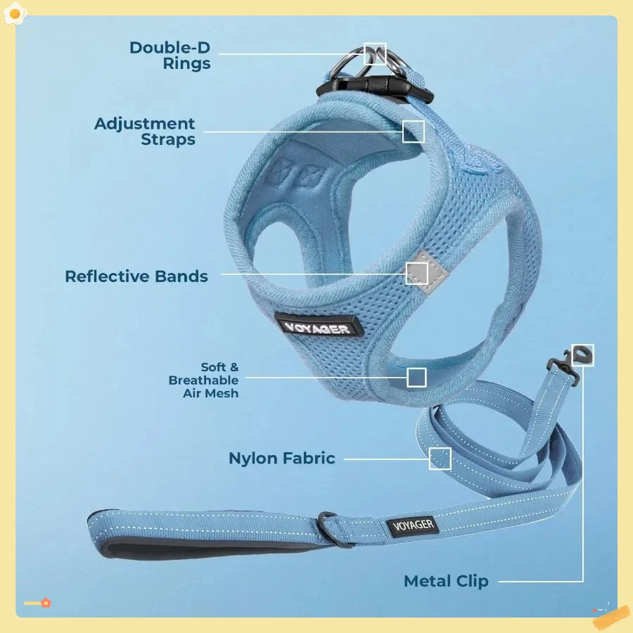 Closure Step In Air Mesh Dog Harness And Leash Reflective