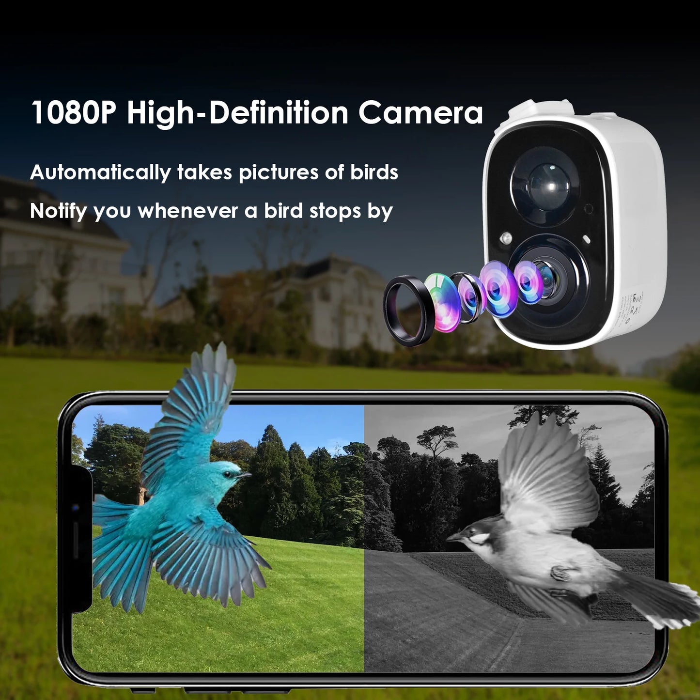 Smart Bird Feeder With Camera Outdoor Bird House Solar HD