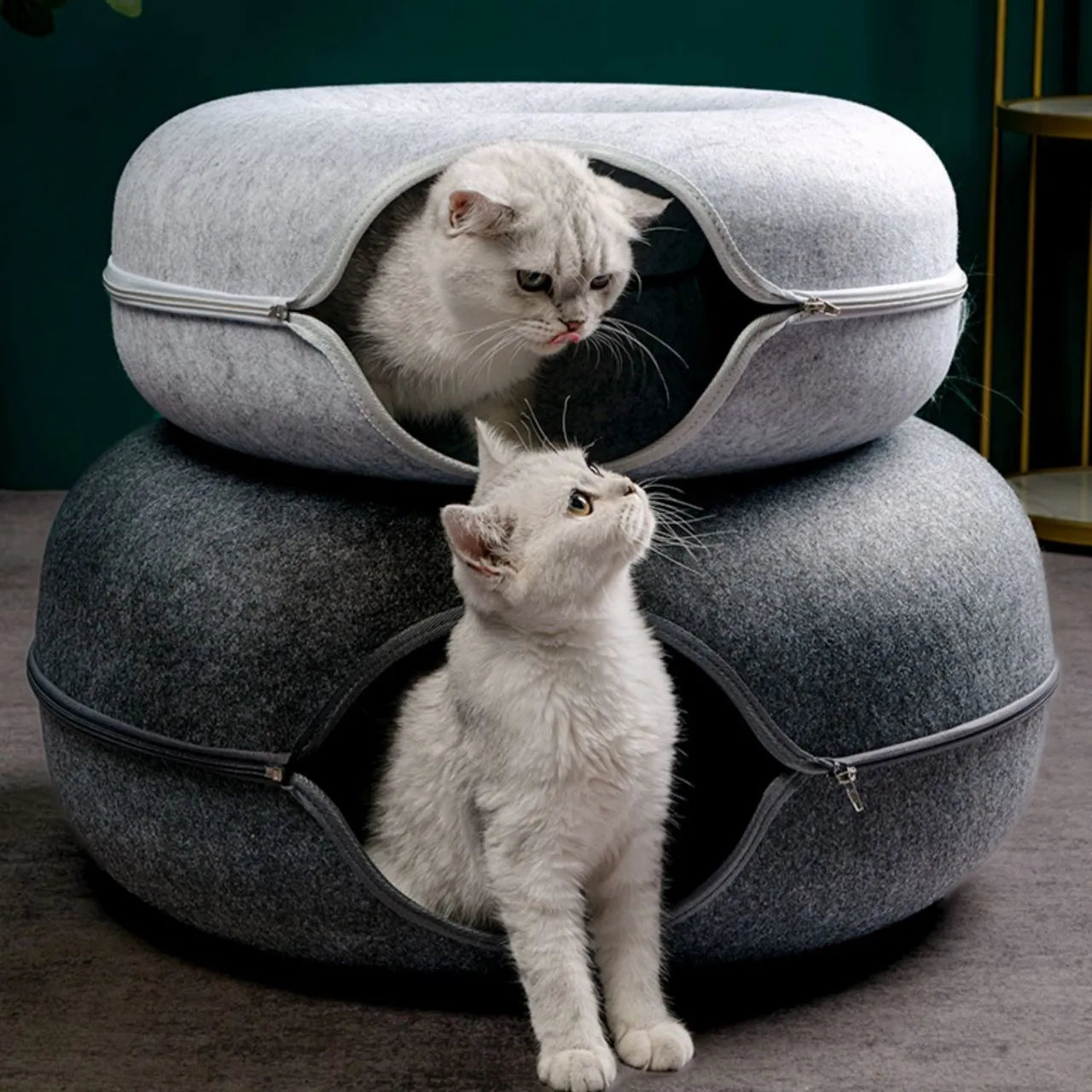 Donut Cat Bed Tunnel Toy For Cats And Kittens