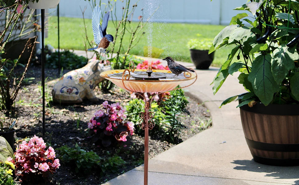 Feature Glass Bird Bath And Feeder On Metal Stake For Garden Decor